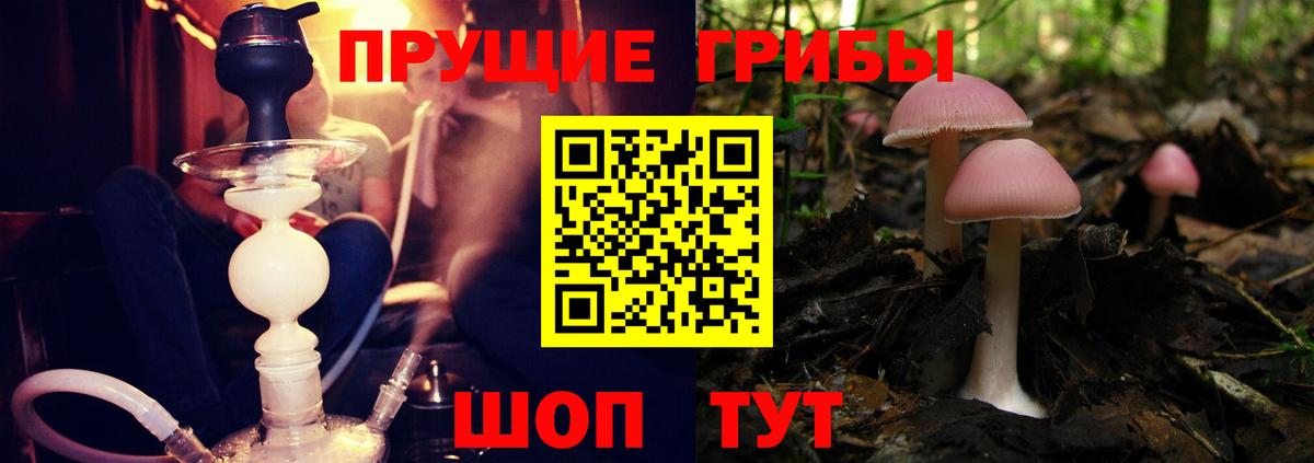 Симферополь  Псилоцибиновые грибы прущие грибы  Псилоцибиновые грибы Psilocybine cubensis  Вход с VPN 